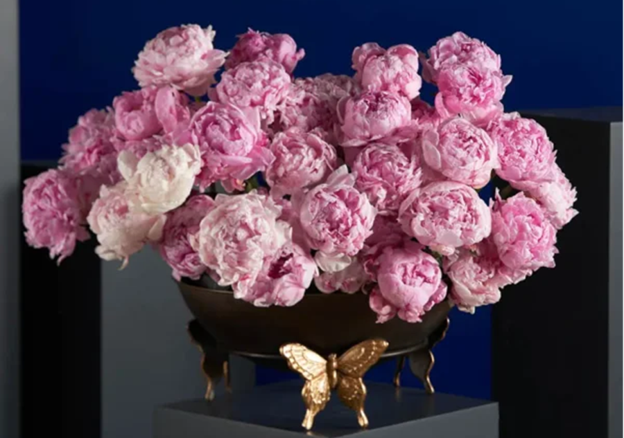 Editorial-Ready Flower Boxes