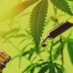 How to Build the Kratom Website