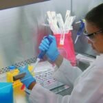 How Hybridoma Sequencing Is Modernising Antibody Development