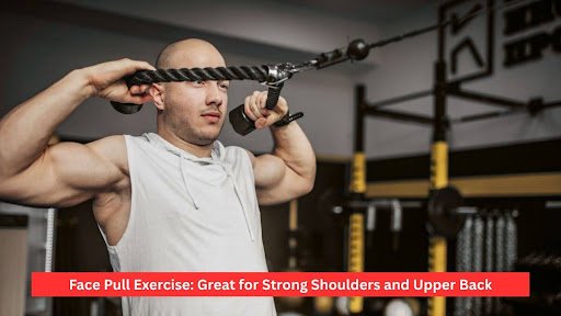Face Pull Exercise