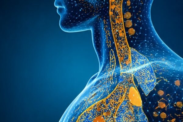 Understanding the Endocrine System and Hormones