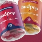 How to Craft THCa Pre-Rolls: A Step-by-Step Buyer and Quality Guide