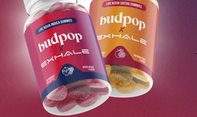 How to Craft THCa Pre-Rolls: A Step-by-Step Buyer and Quality Guide