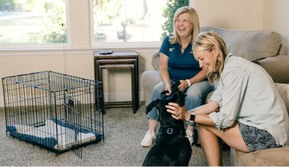 6 Ways to Prevent Resource Guarding Issues