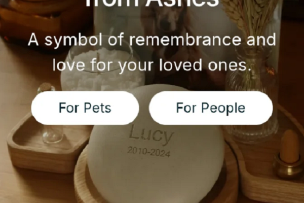 image of memory stones