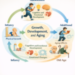 Comparing Growth, Development, and Aging: Key Differences Explained