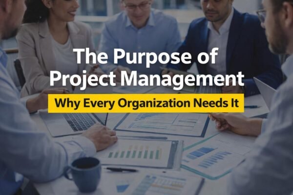 Purpose of project management in organizational success