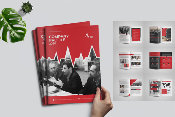 Creating a Strong and Professional Brand Identity