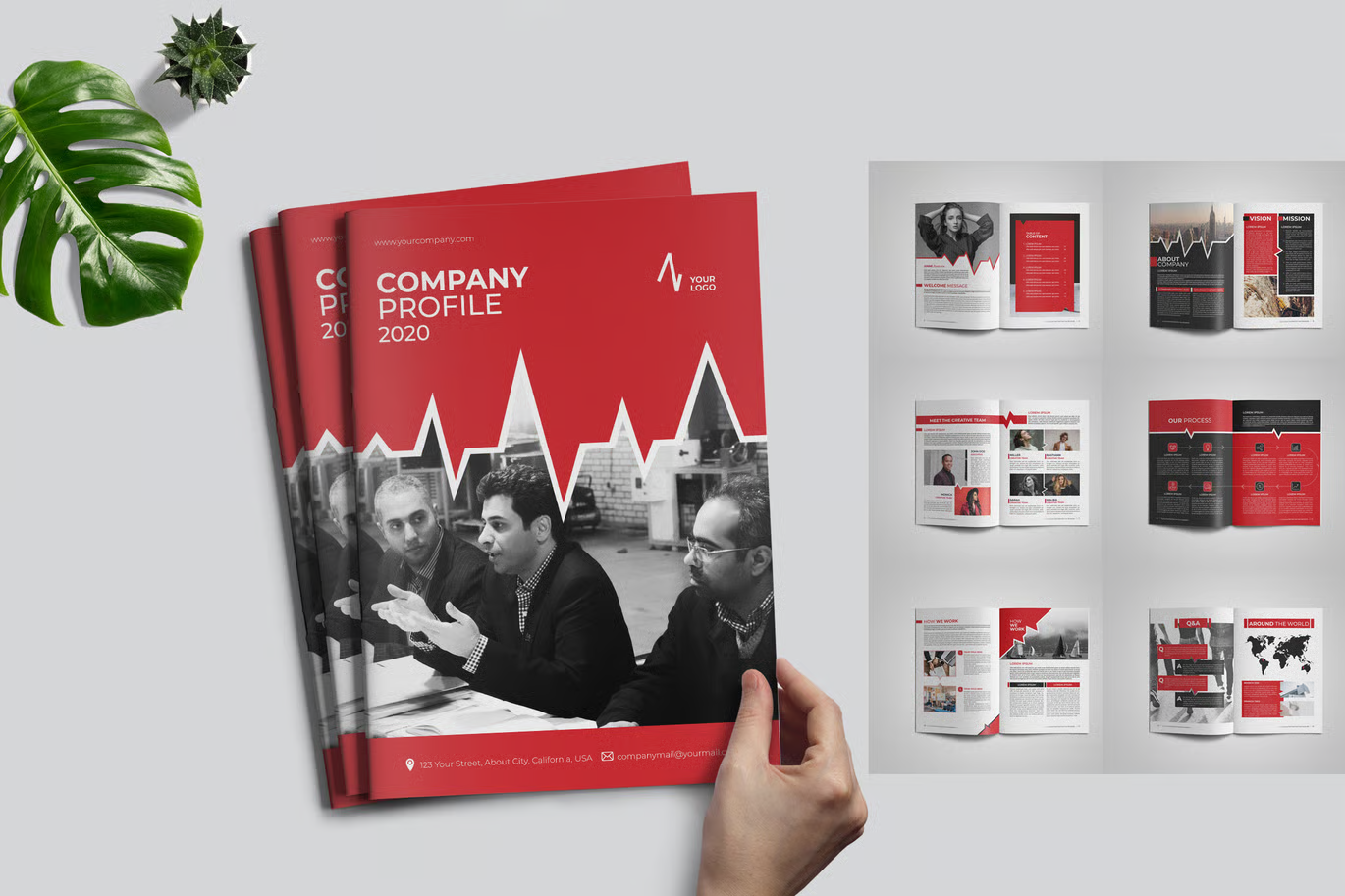 Creating a Strong and Professional Brand Identity