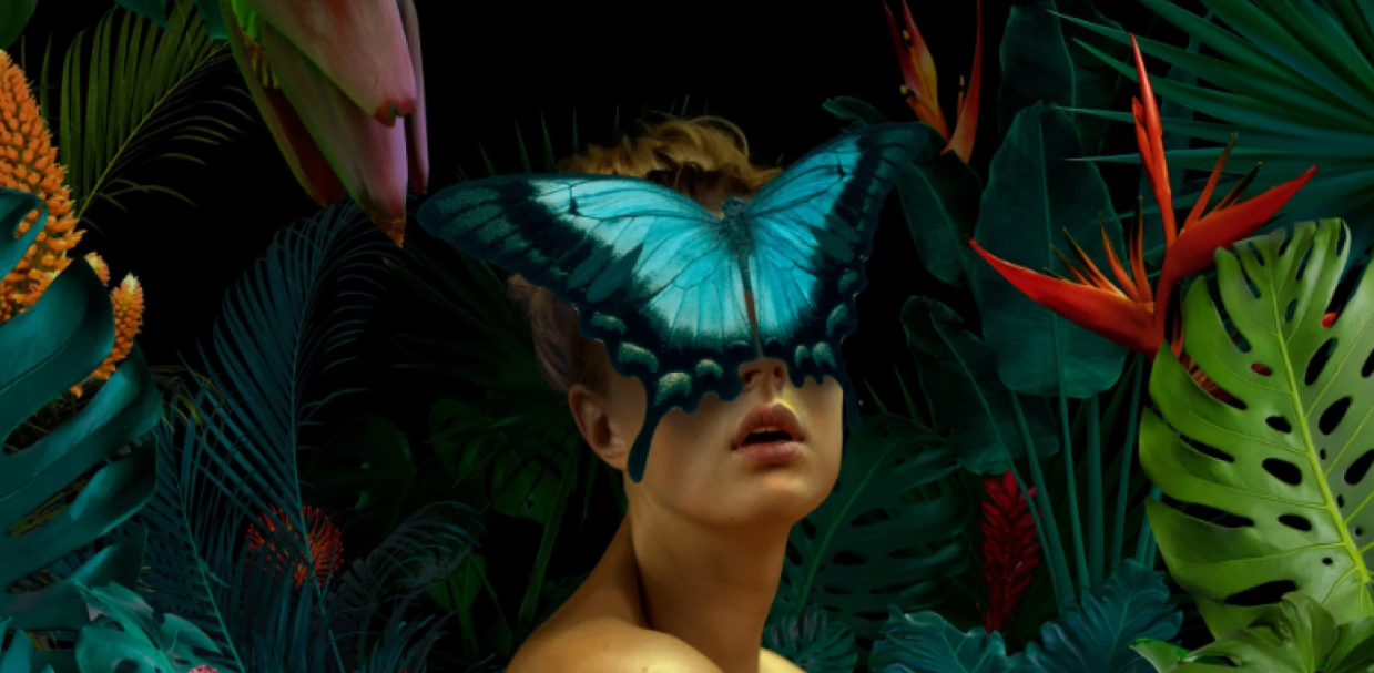 How a Plant Medicine Integration Program Transforms Your Healing Journey