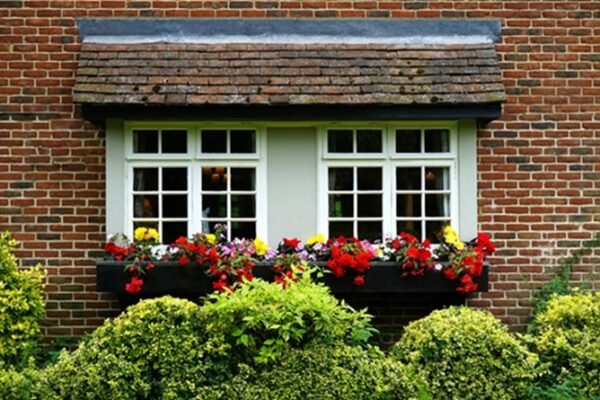 Low-Maintenance Tips