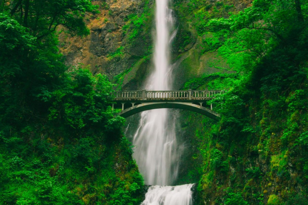 Why Visiting The Seattle Metro Can Make A Great Trip