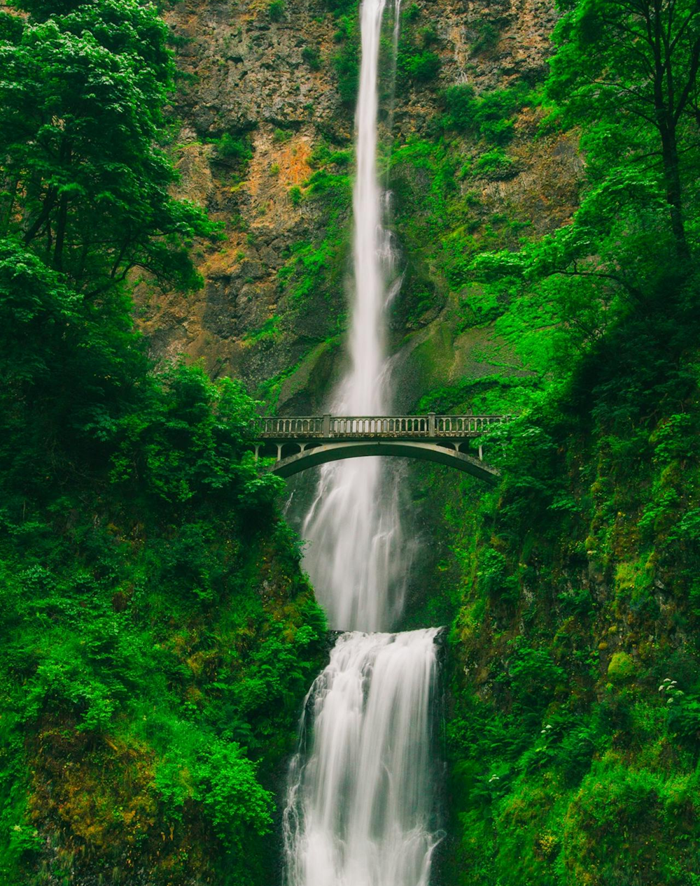 Why Visiting The Seattle Metro Can Make A Great Trip