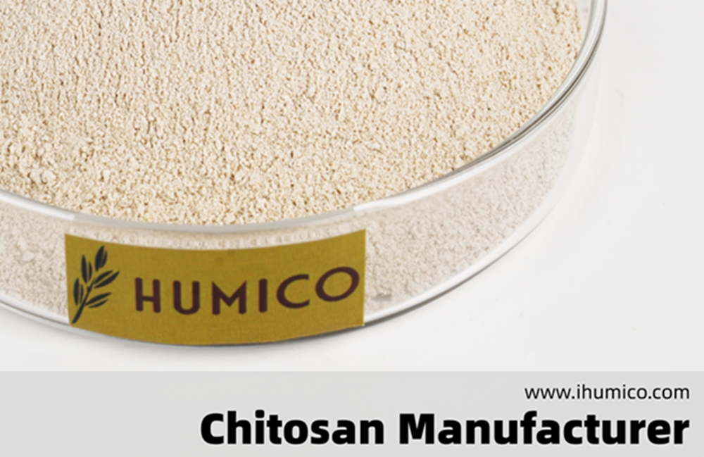 A Comprehensive Guide to Chitosan Benefits and Applications