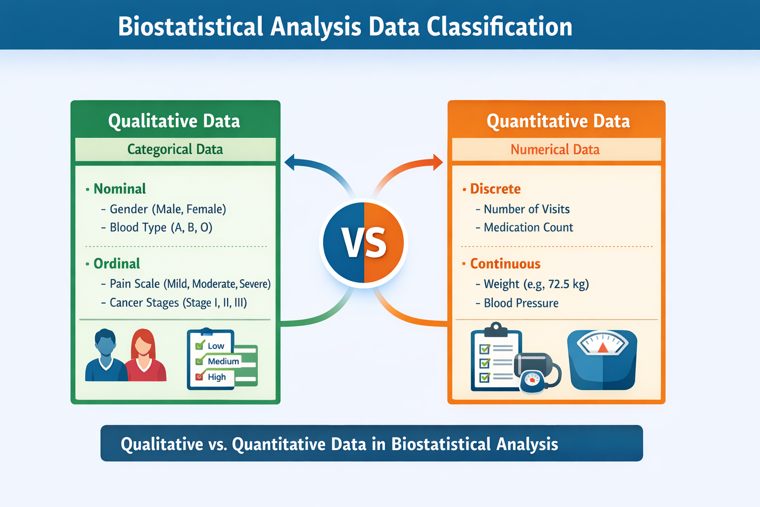 Biostatistical data classification infographic