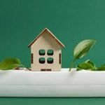 Eco-Friendly Living for a Healthier You: Tips from CEAS Collective