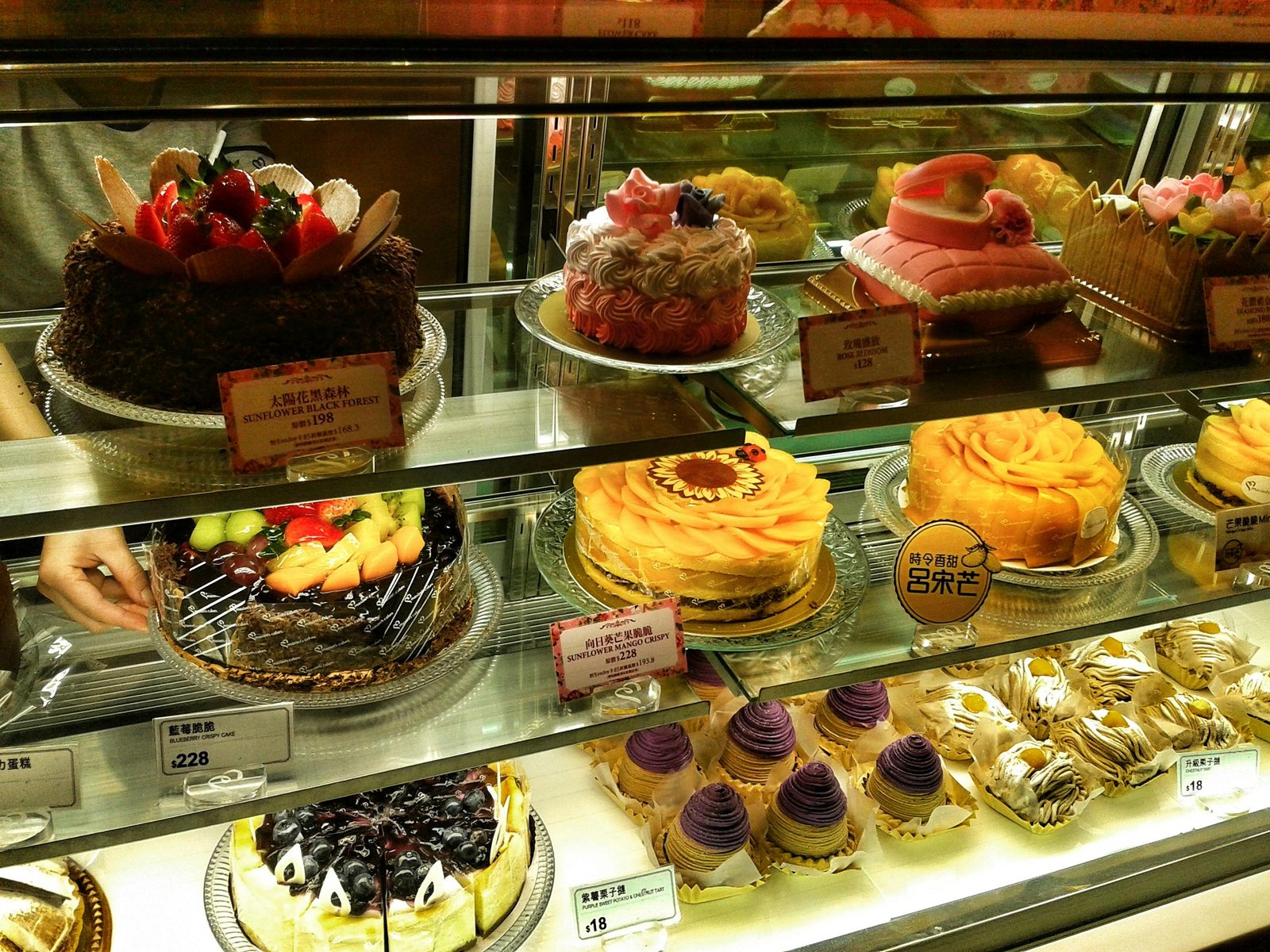 Top 5 Cake Shops in Chennai For Diverse Cakes