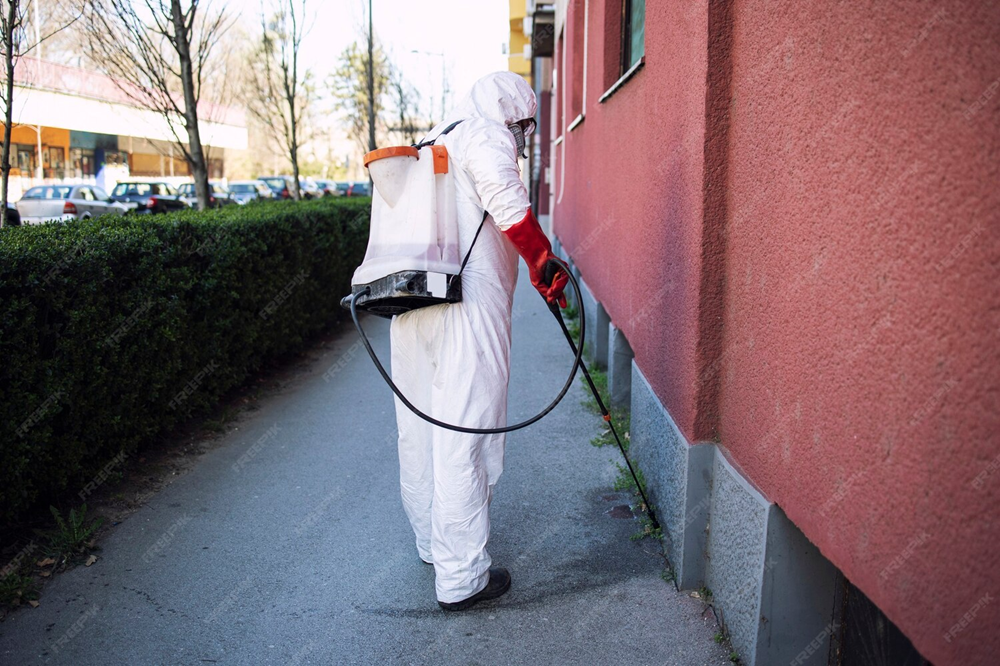 Pest Control Strategies for Urban Environments