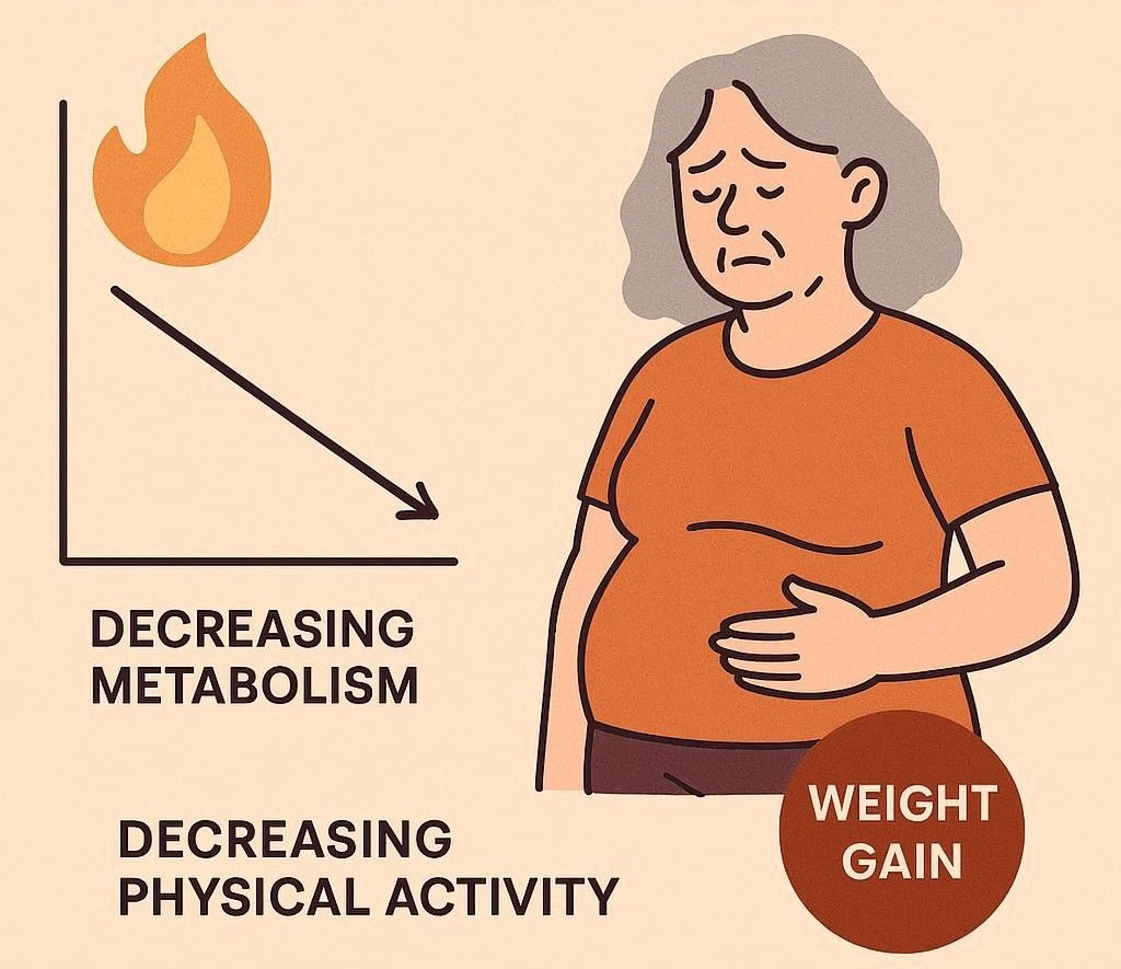 Metabolism and Aging: Why Weight Gain Becomes Easier