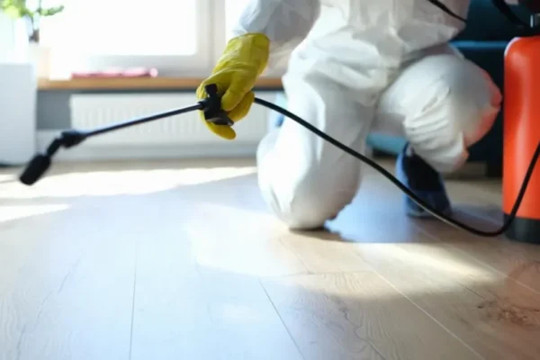 Why Choose Our Pest Control Services 2 1024x538 1