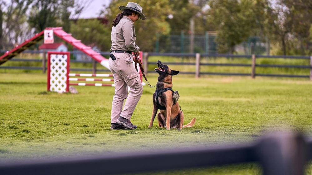 How to Turn Your Passion for Animals Into a Thriving Career