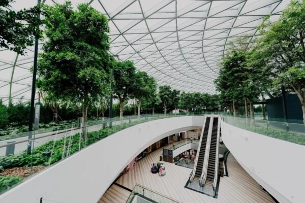 How Do Modern Architects Balance Style and Sustainability?