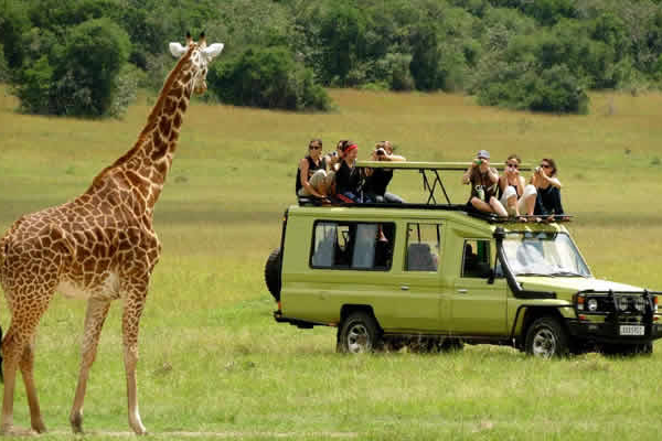 Uganda Safari Cost Guide with Self-Drive and Packing List
