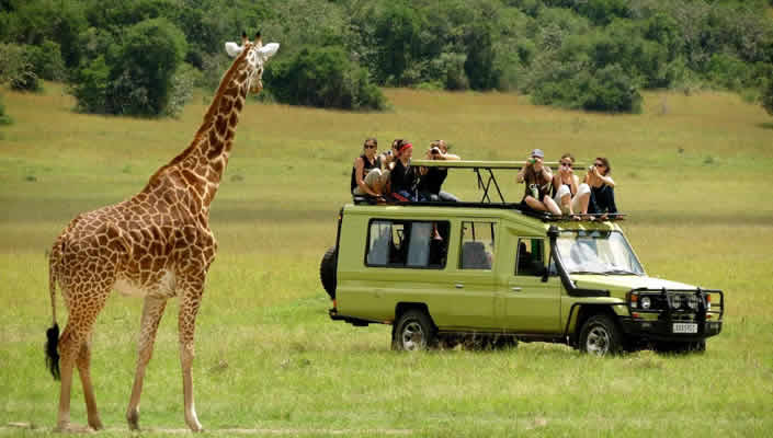 Uganda Safari Cost Guide with Self-Drive and Packing List