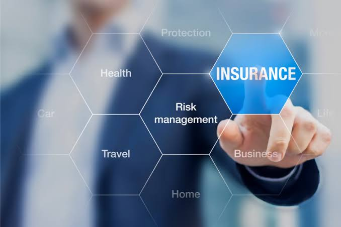 Pack Management: How the Right Insurance Keeps You Protected on Every Walk 2 Pack Management: How the Right Insurance Keeps You Protected on Every Walk