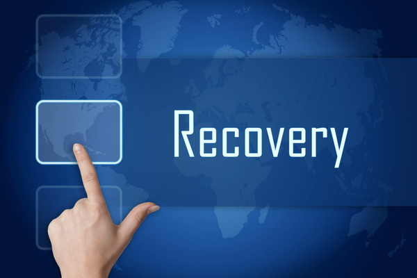 Recovery Plans