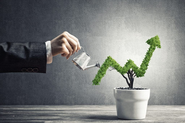 Growing Businesses