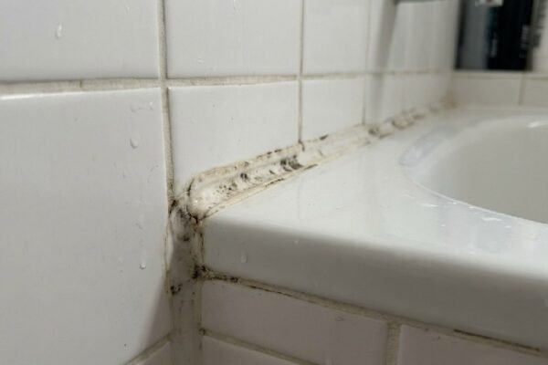 Mould in Dubai Apartments: Causes, Signs and Solutions