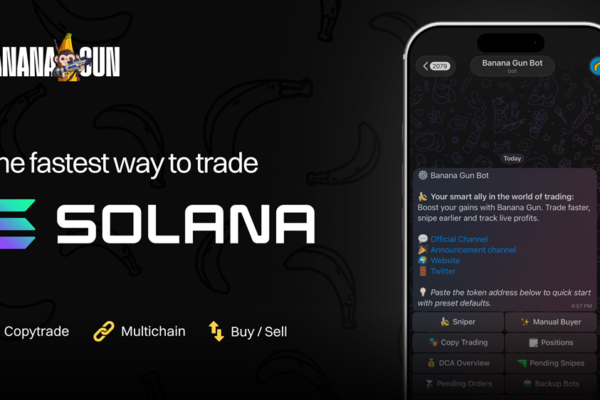 Solana Meme Coins