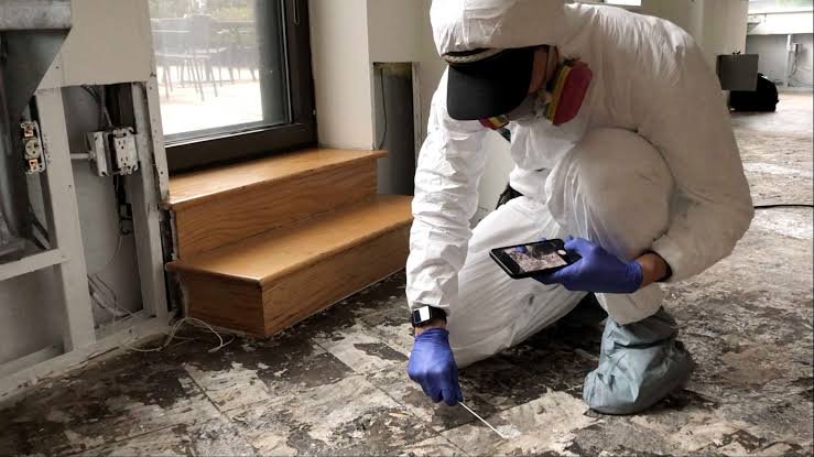 Why Mold Inspection Is Important for Sarasota Homes